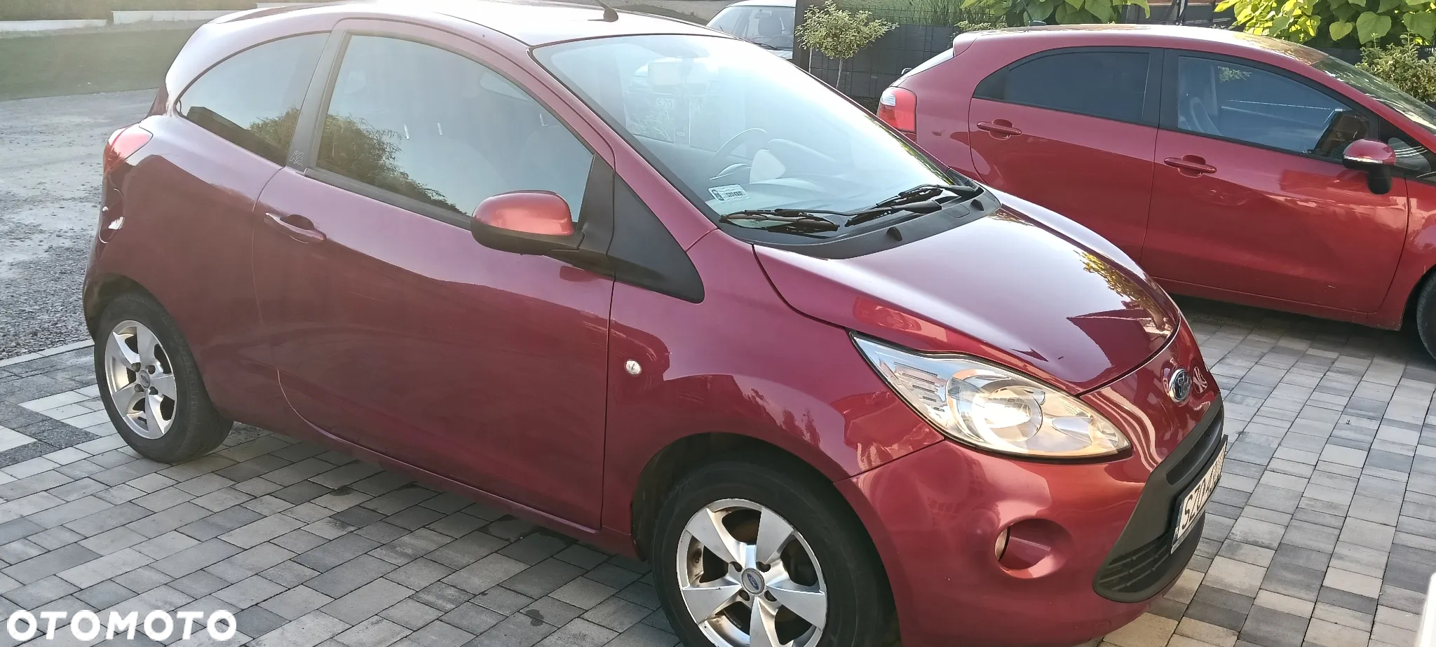 Ford KA - 5