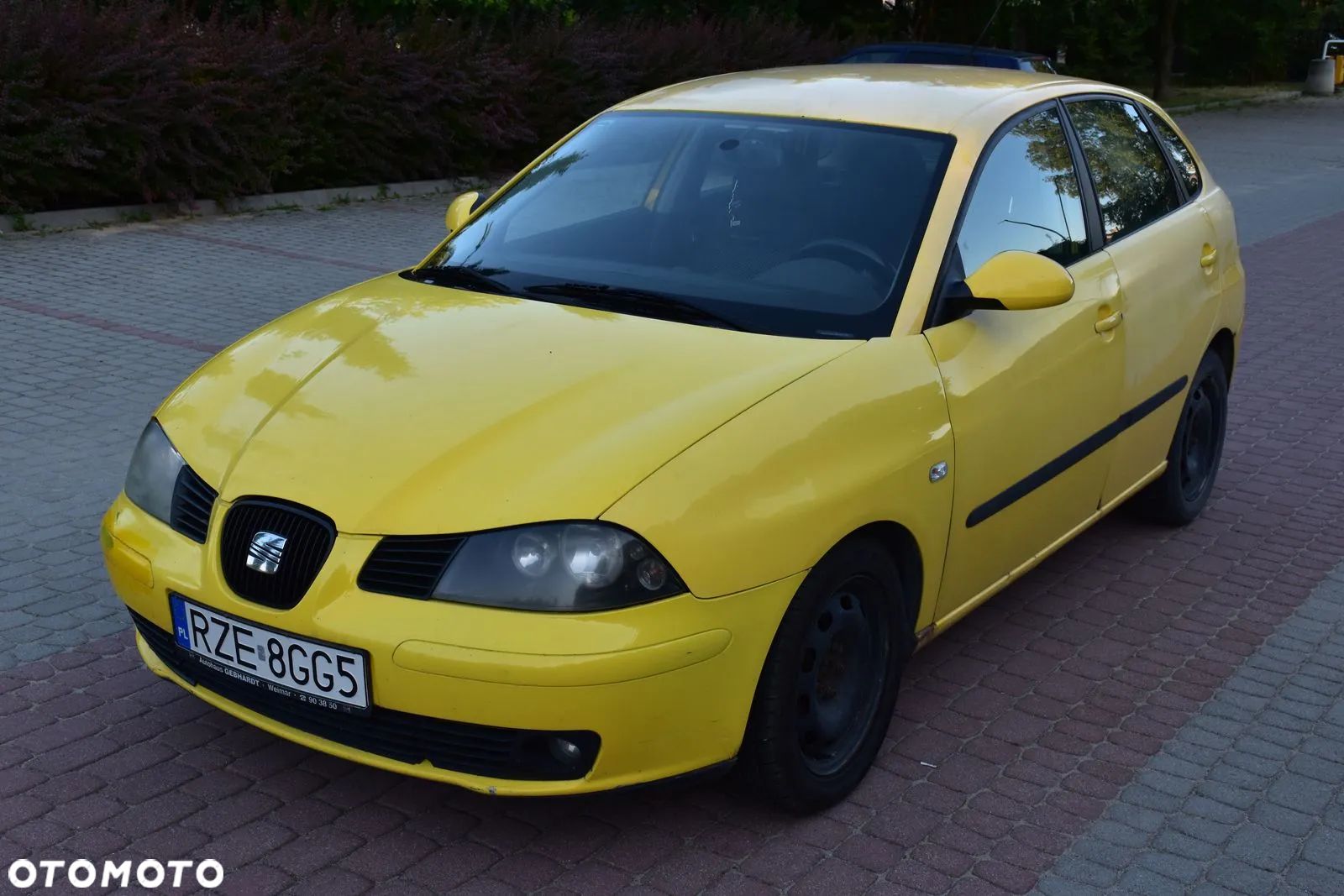 Seat Ibiza 1.9 TDI Sport - 1