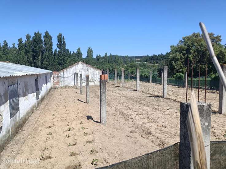 Moradia/quintinha T4 Isolada com Terraço e Garagem - Grande imagem: 3/12