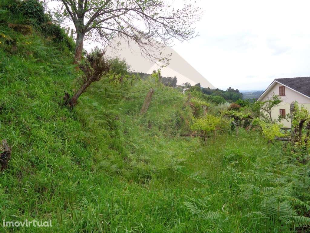 TERRENO URBANO - MELGAÇO - Grande imagem: 3/27