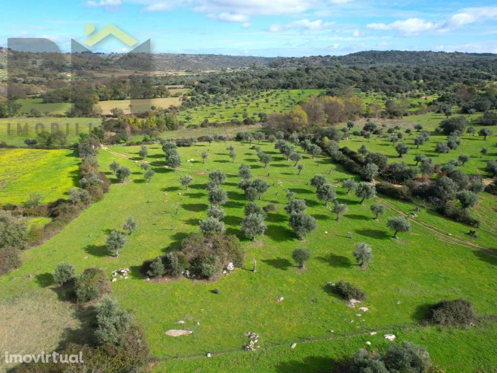 Quinta com 3ha em Oledo, Idanha-a-Nova - Grande imagem: 4/30