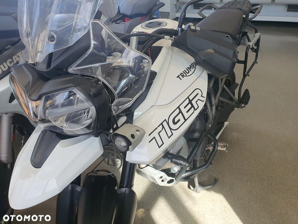 Triumph Tiger - 7