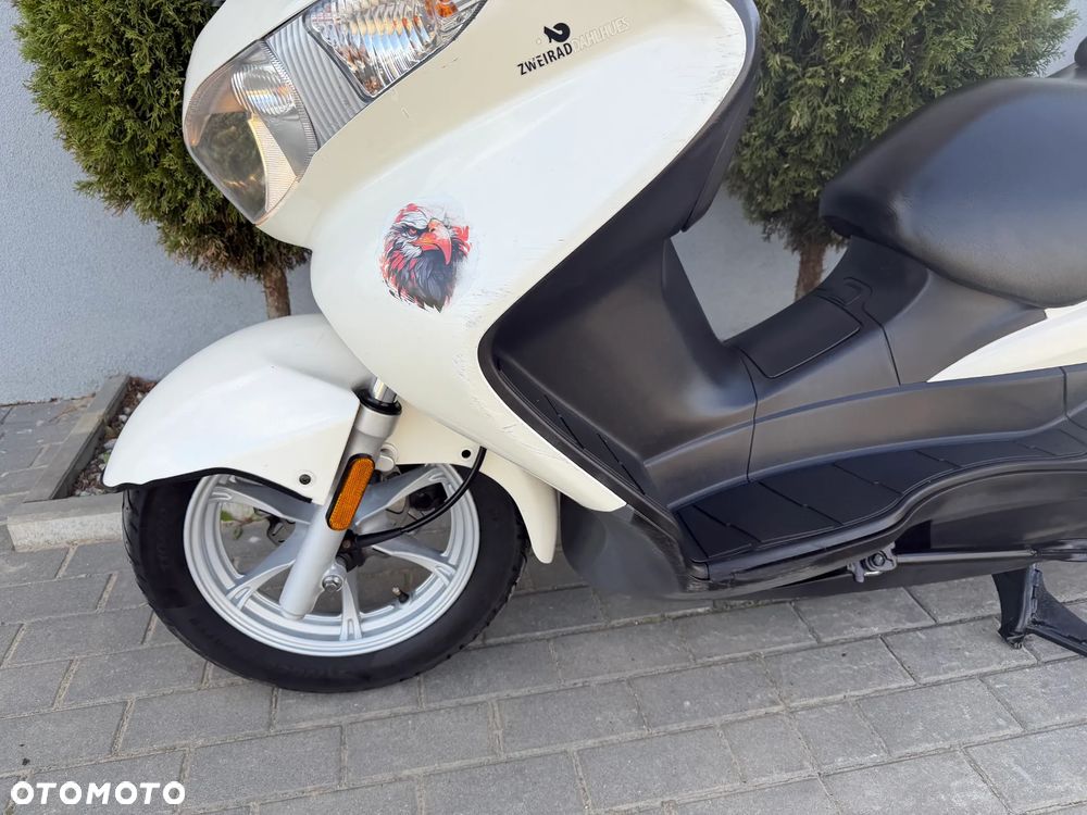 Suzuki Burgman - 31
