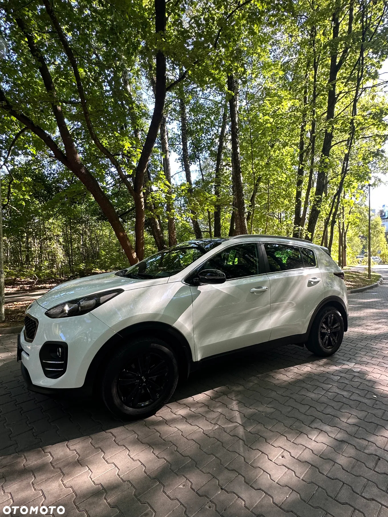 Kia Sportage 1.6 GDI Business Line 2WD - 19