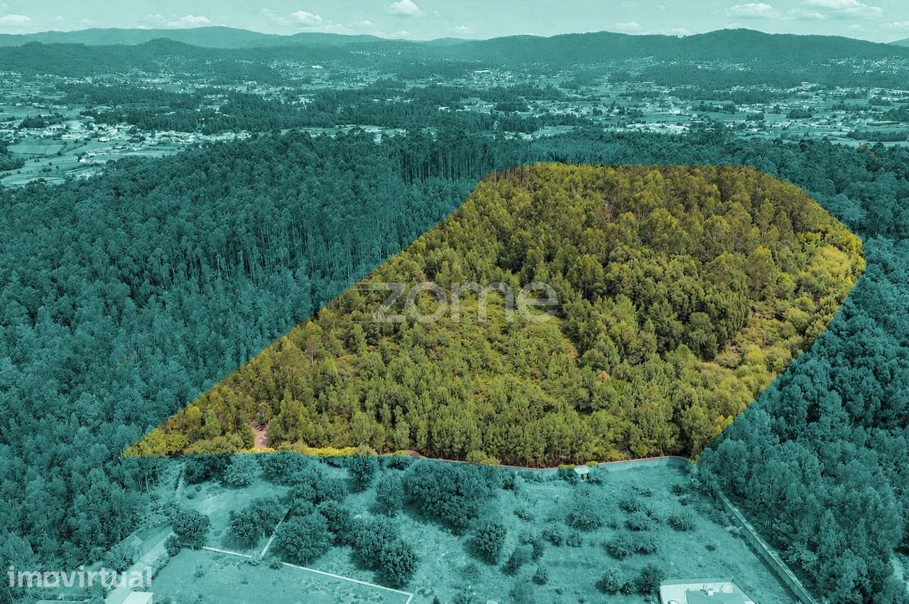 Terreno com Projeto para Habitação e Turismo - Barcelos