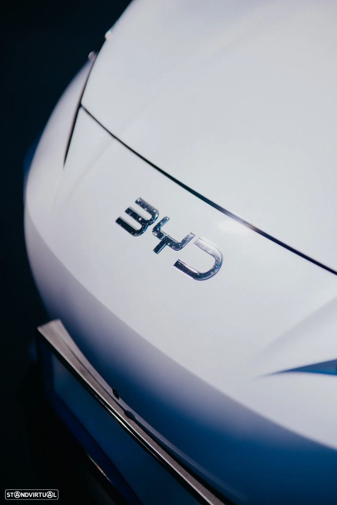 BYD Sealion 7 - 4
