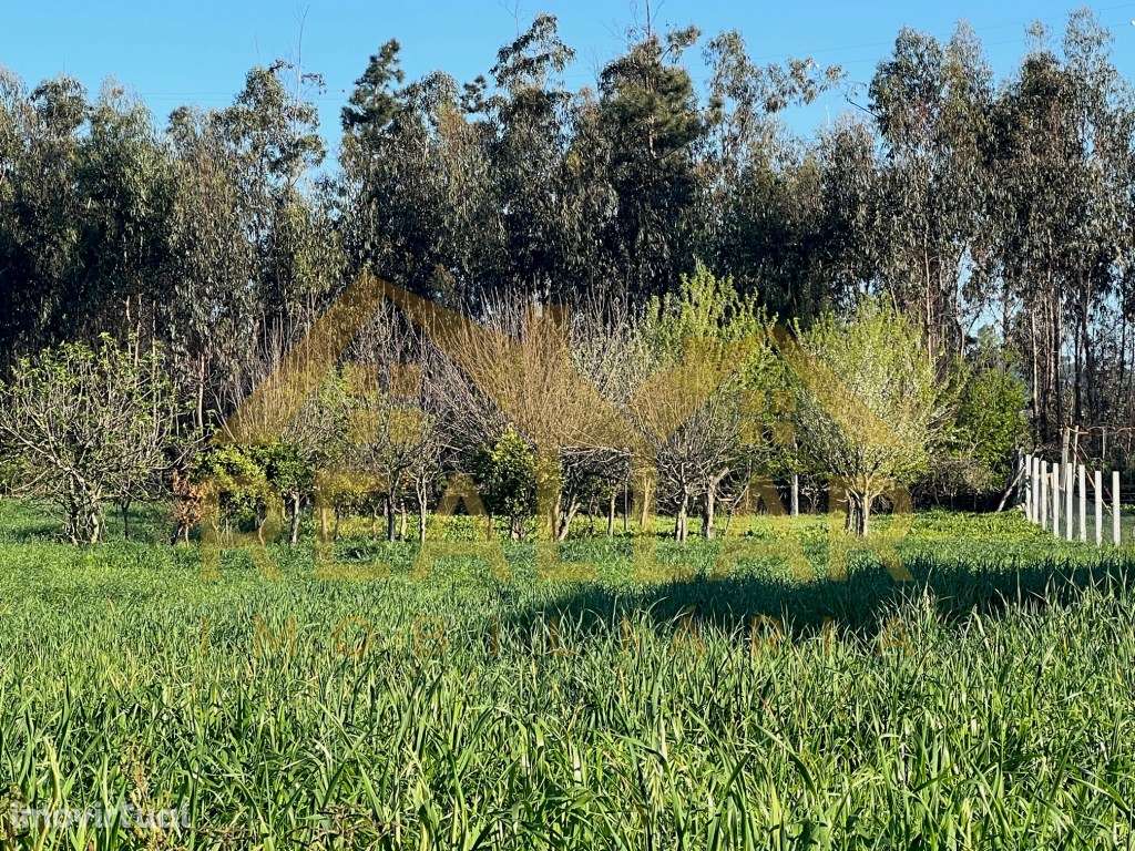 2 lotes de terreno para construção em Balazar Póvoa de Varzim - Grande imagem: 3/15