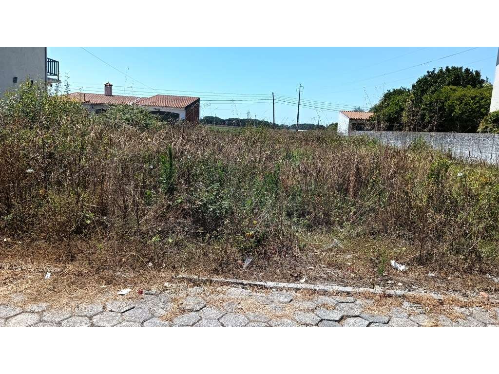 Terreno / lote para construção de moradia - Ílhavo - Grande imagem: 4/12