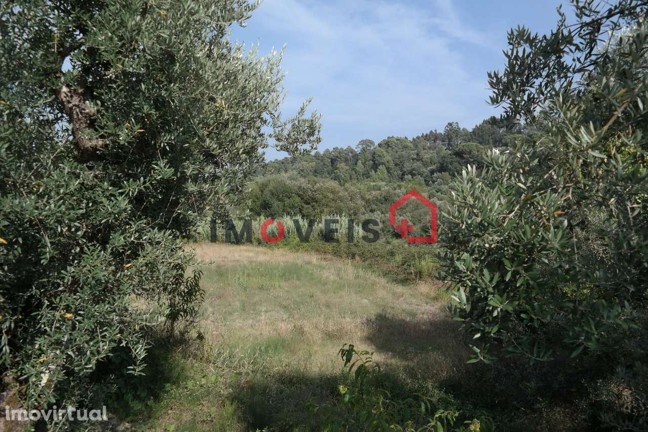 Terreno - Grande imagem: 2/2