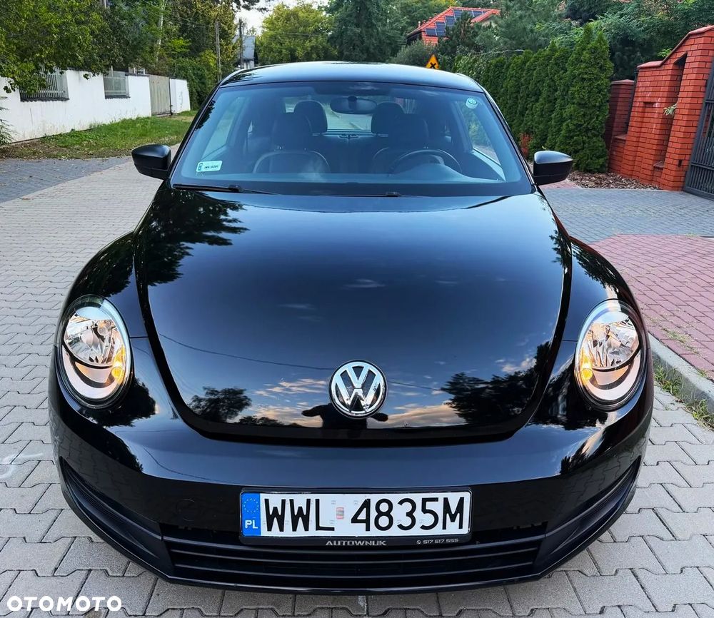 Volkswagen Beetle - 17