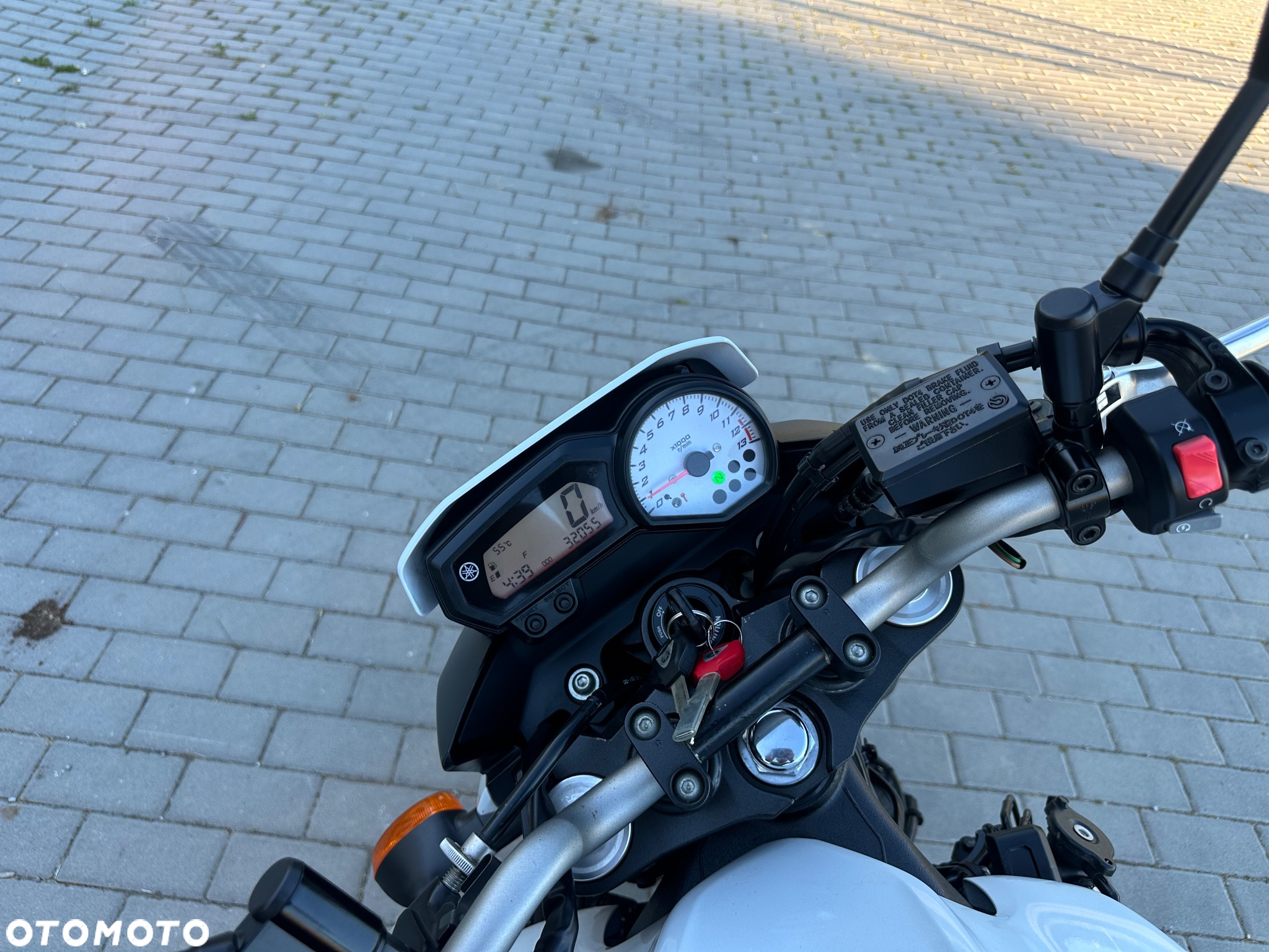 Yamaha FZ8 - 3