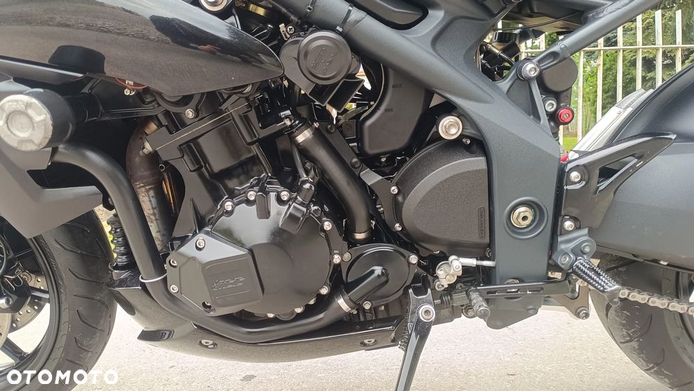 Triumph Speed Triple - 14