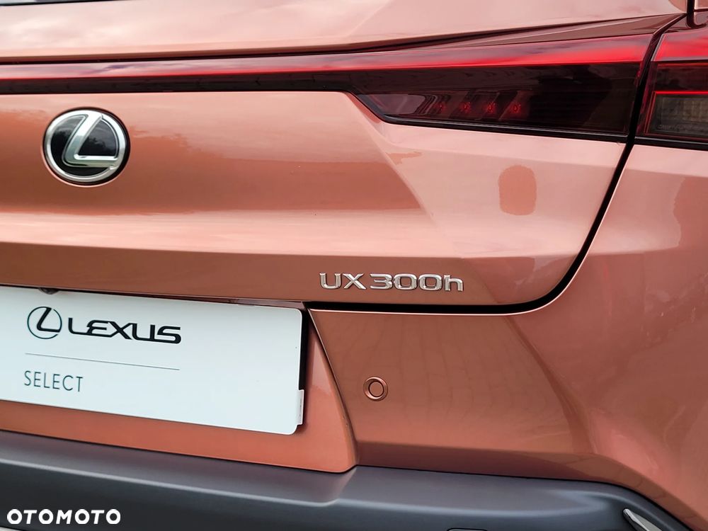 Lexus UX 300h F Sport Design - 26