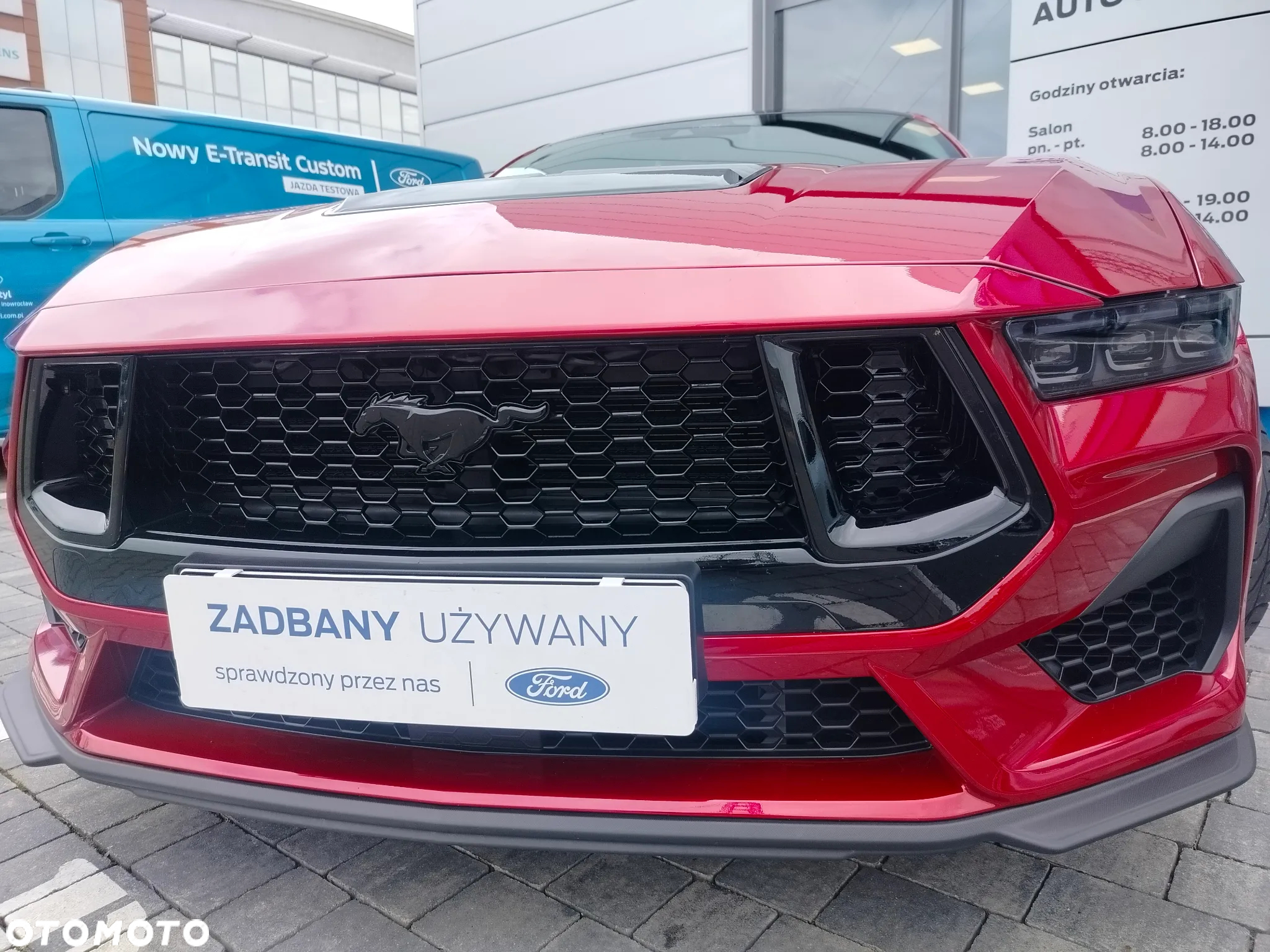 Ford Mustang 5.0 Ti-VCT V8 GT - 31