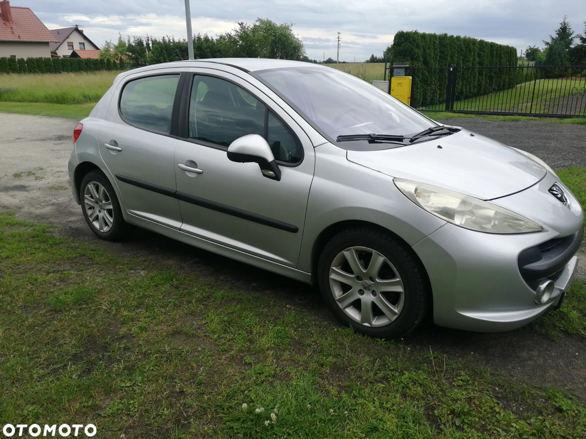 Peugeot 207 - 1
