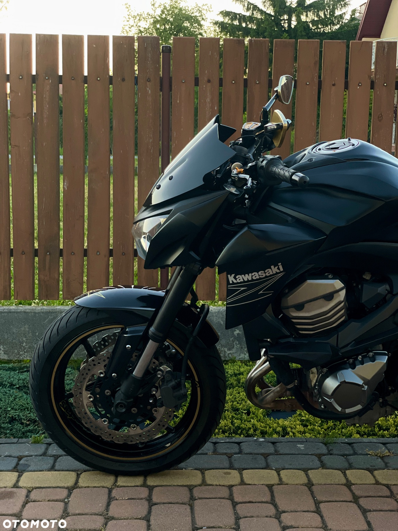 Kawasaki Z - 19