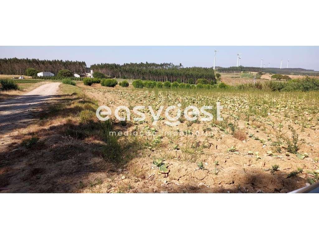 Excelente Terreno Rústico no Lugar da Formiga com 4120m2 - Grande imagem: 2/6