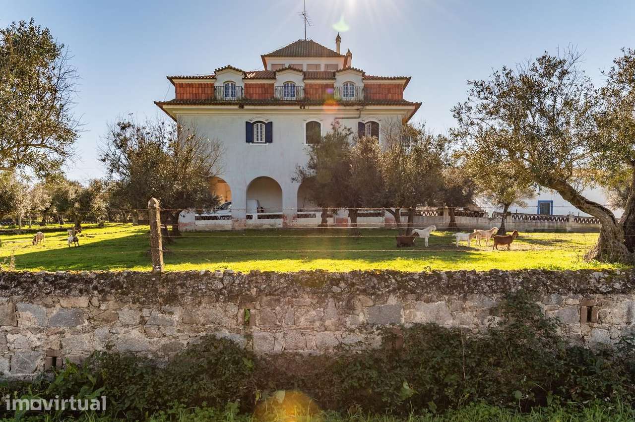 Quinta 5.7 ha, Évora - Grande imagem: 3/39