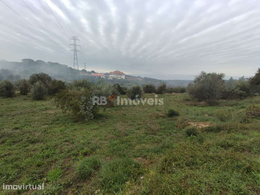 Terreno com 6720m² - Casais, Tomar - Grande imagem: 5/16