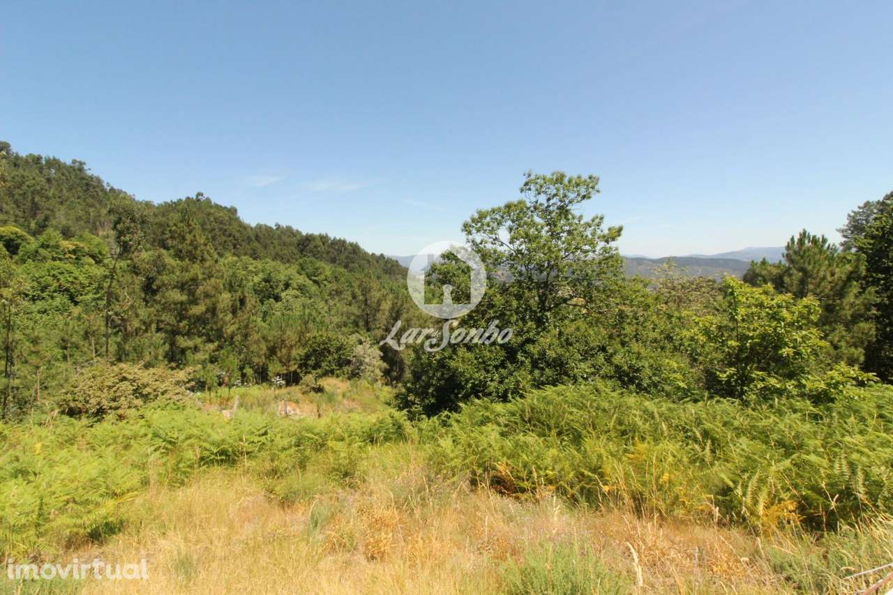 Terreno Caçarilhe Celorico de Basto - Grande imagem: 5/22