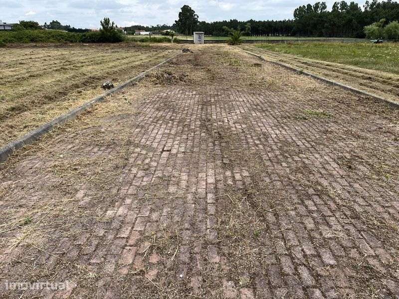 Terreno Volta da Tocha - Grande imagem: 3/12