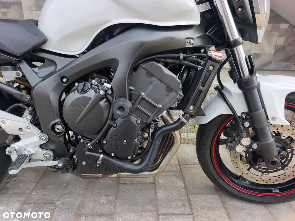 Yamaha FZ6 - 19