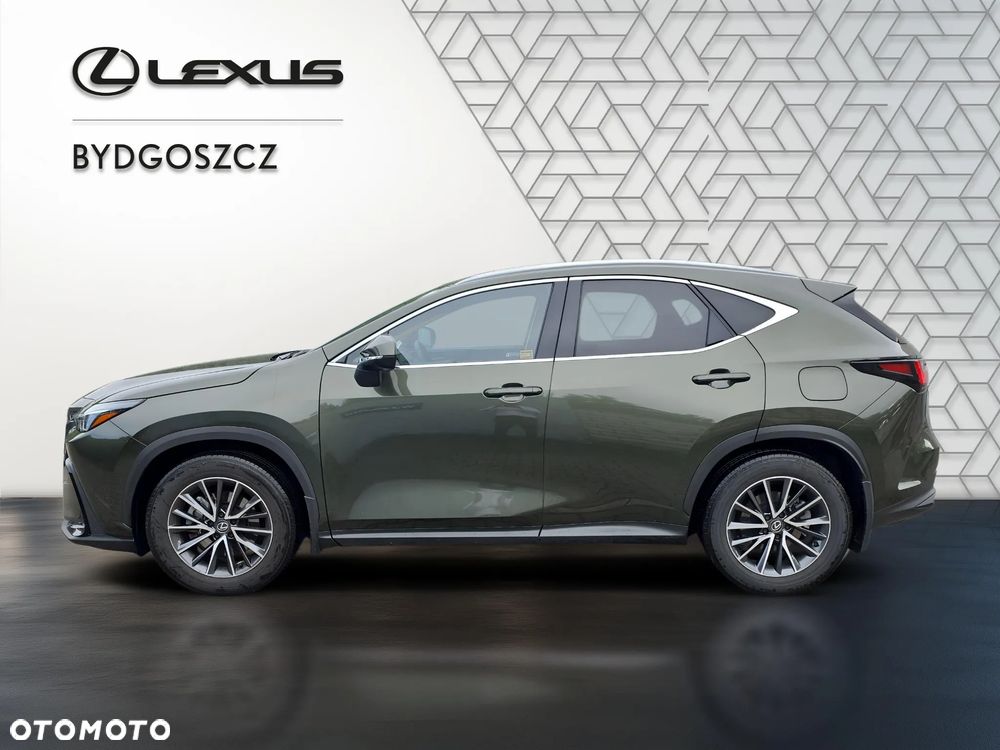 Lexus NX 350h Prestige 2WD - 7