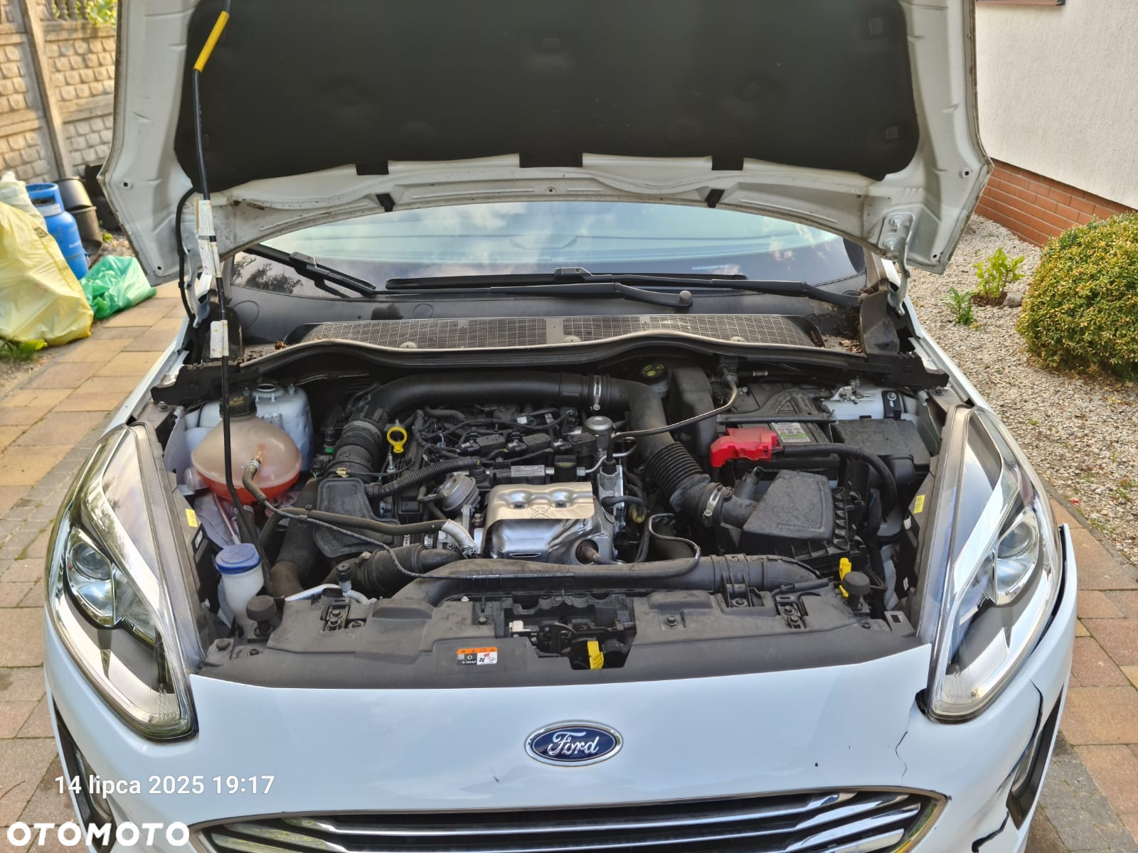 Ford Fiesta - 10