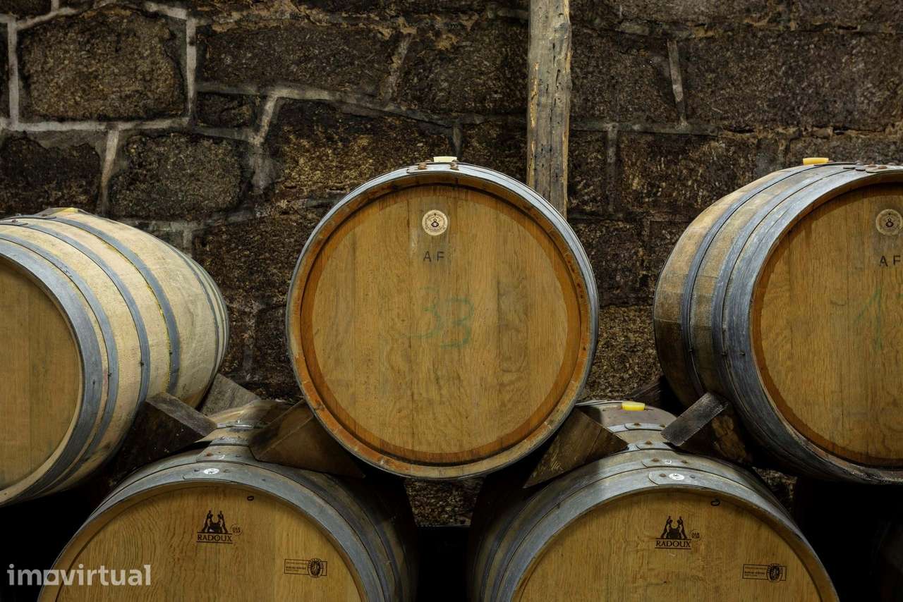 Adega & Vinhas - Almeida Garrett Wines - Grande imagem: 5/32