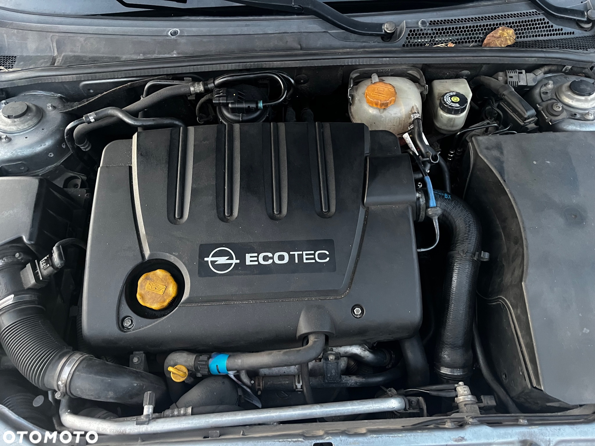 Opel Vectra - 25