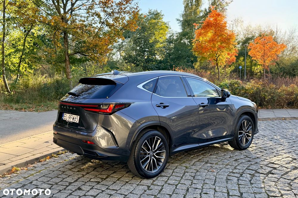Lexus NX 350h Omotenashi AWD