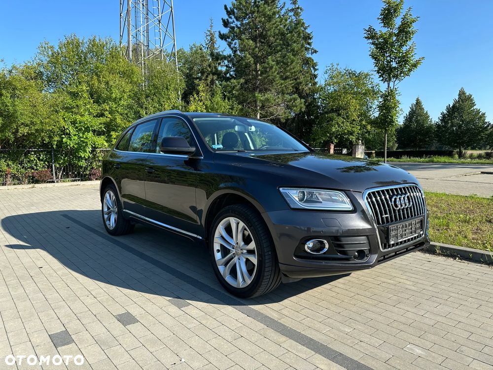 Audi Q5 2013 photo 5