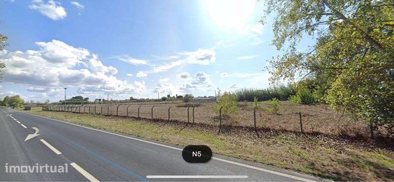 Aluguer Terreno na N5 Montojo/Alcochete - 0,53ha - Vista 6