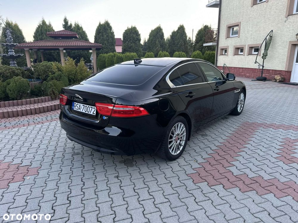 Jaguar XE E-Performance Pure - 2