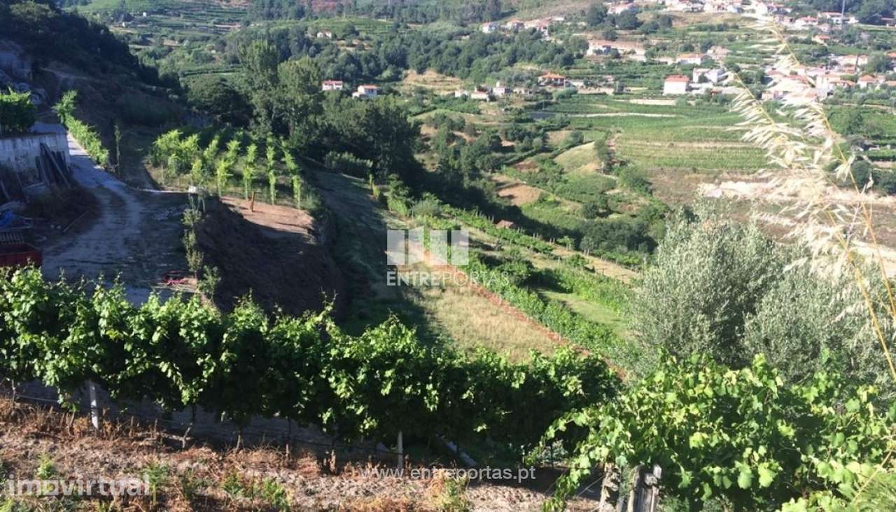 Venda Terreno, Santa Marinha do Zêzere, Baião - Grande imagem: 2/22