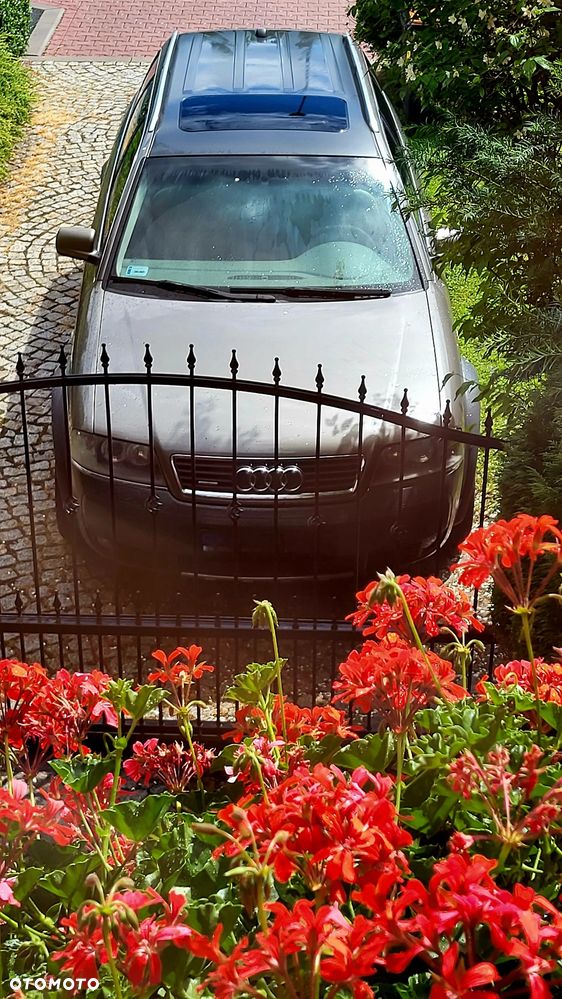 Audi A6 Allroad - 7