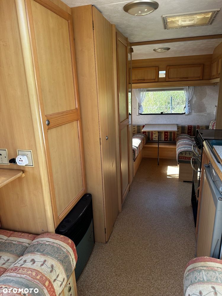 Coachman Amara - 11