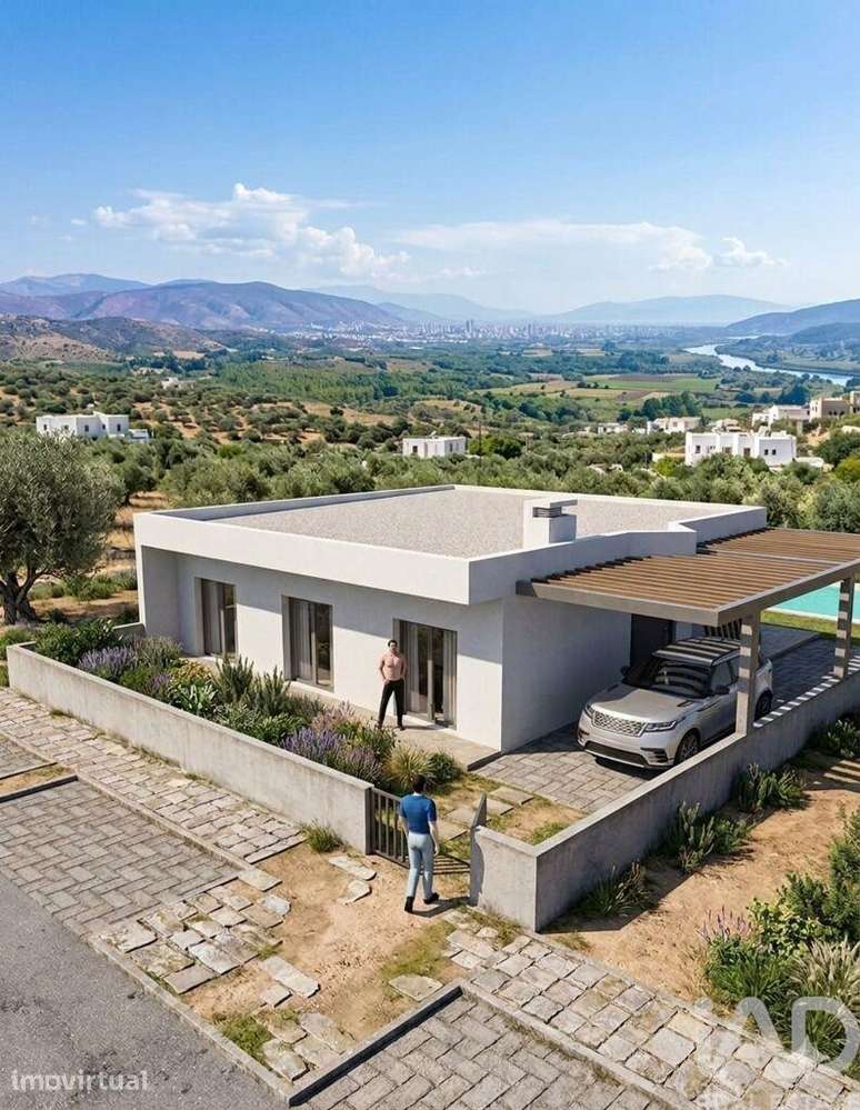 Terreno Agrícola em Torres Novas (São Pedro), Lapas e Ribeira Branca - Grande imagem: 3/40