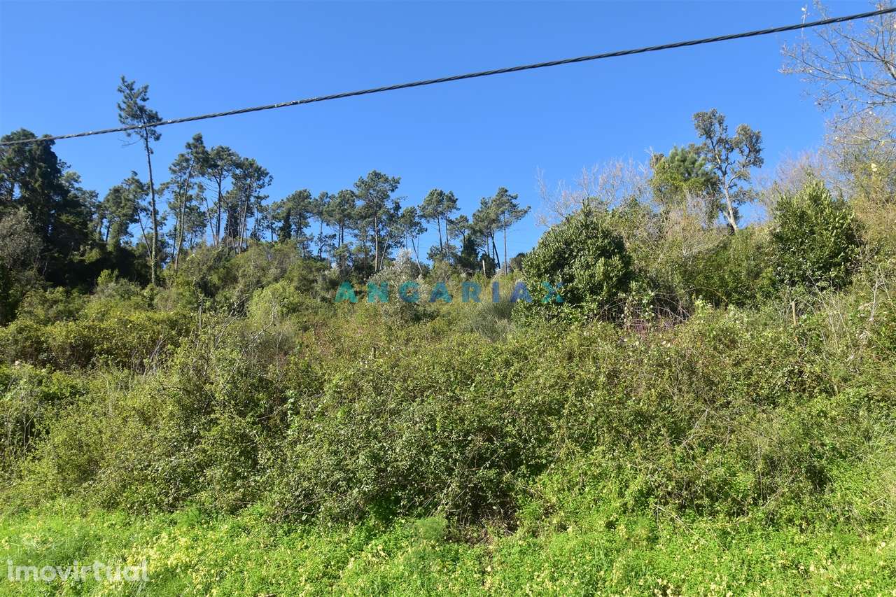 ANG1375 - Terreno para Venda em Coimbra - Grande imagem: 5/13