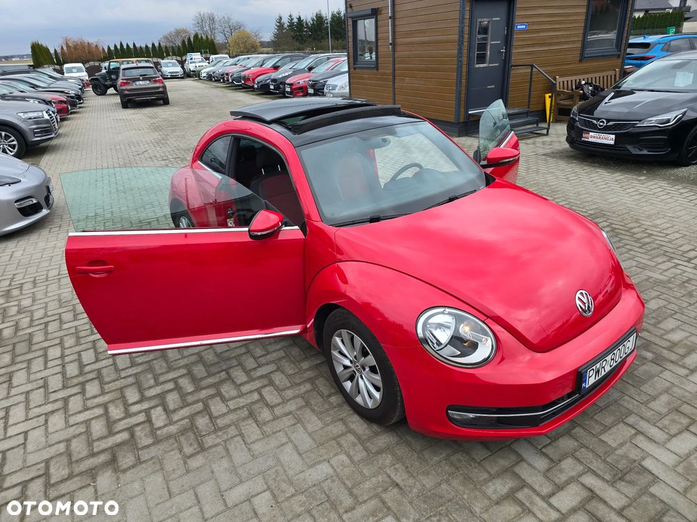 Volkswagen Beetle - 33