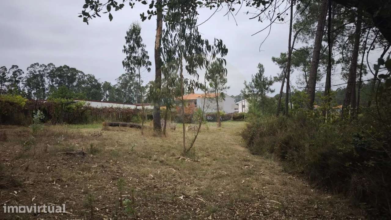 Terreno Rustico em Cristelo - Grande imagem: 2/14