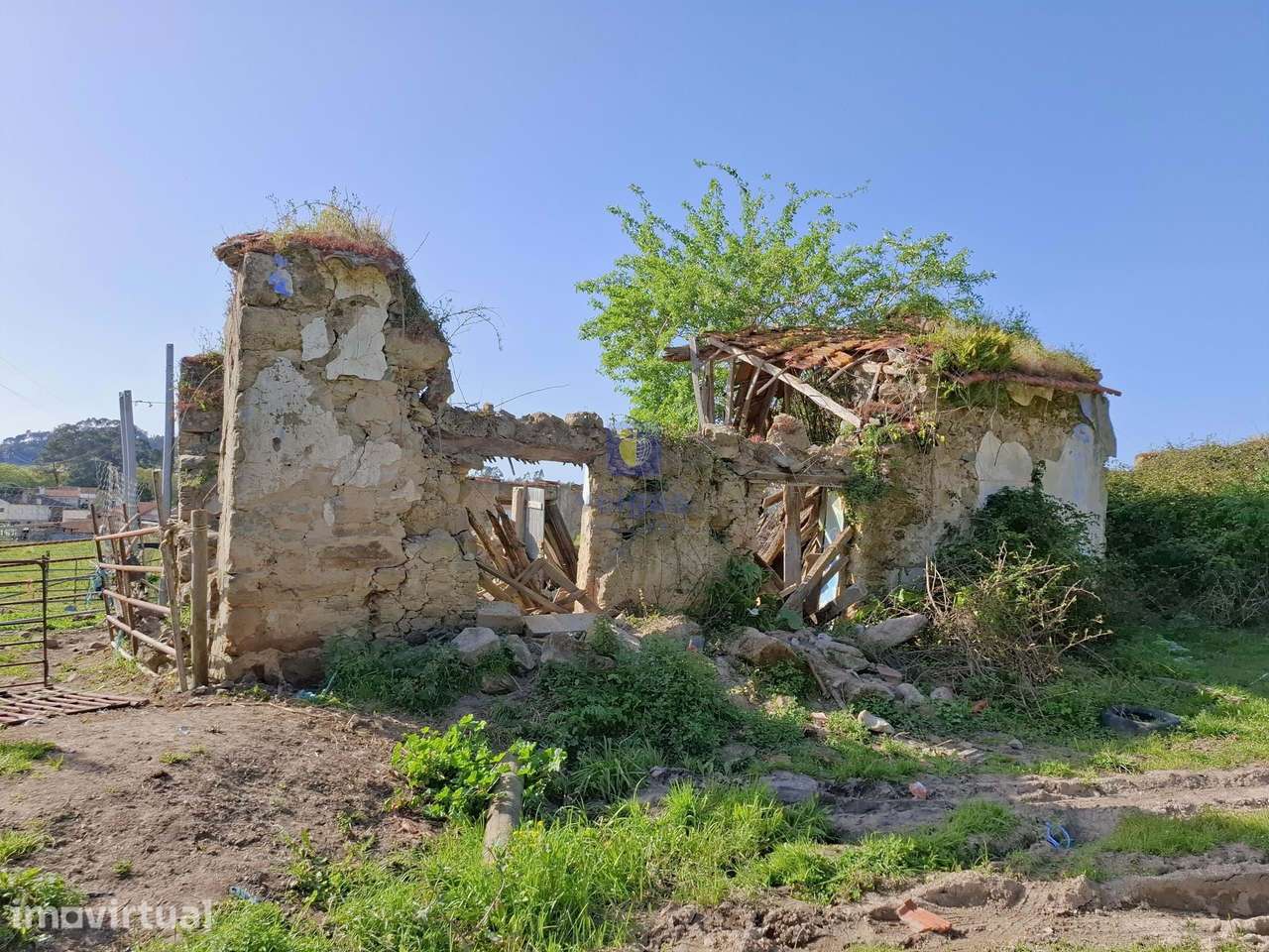 Terreno urbano com 15.867 m2 em Cela, Alcobaça,  e ruína de 336,30 m2 - Grande imagem: 3/27