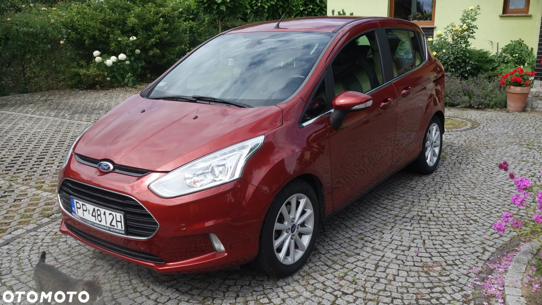 Ford B-MAX 1.0 EcoBoost Titanium X EU6 - 3