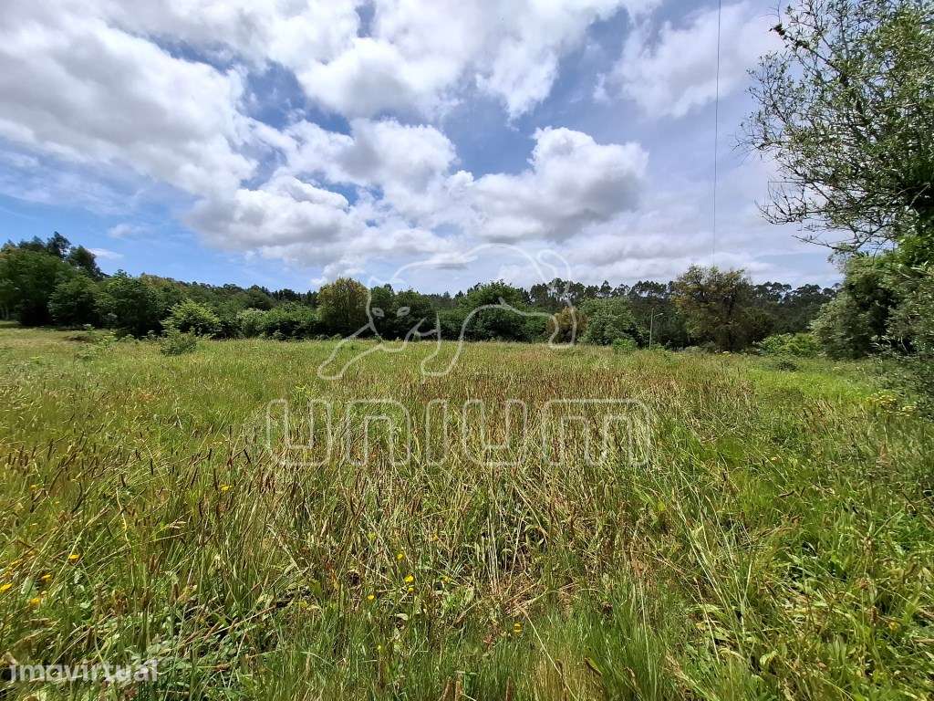 Terreno para venda na Montaria - Grande imagem: 2/5
