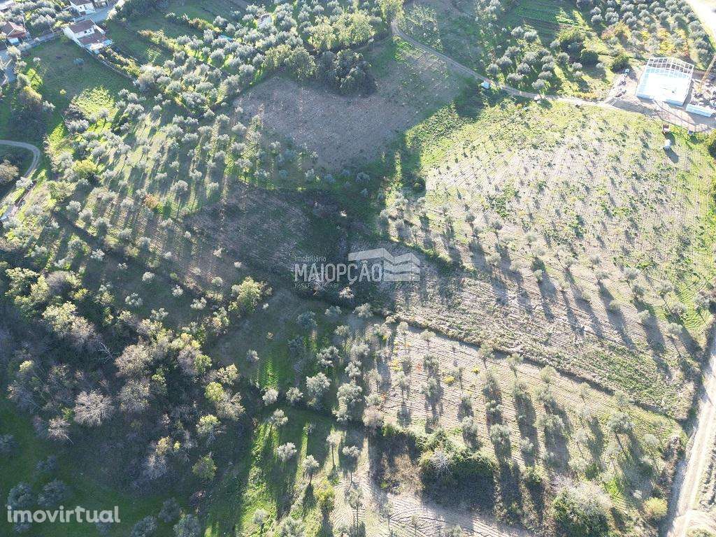 Terreno Grijó de Parada - Grande imagem: 5/6