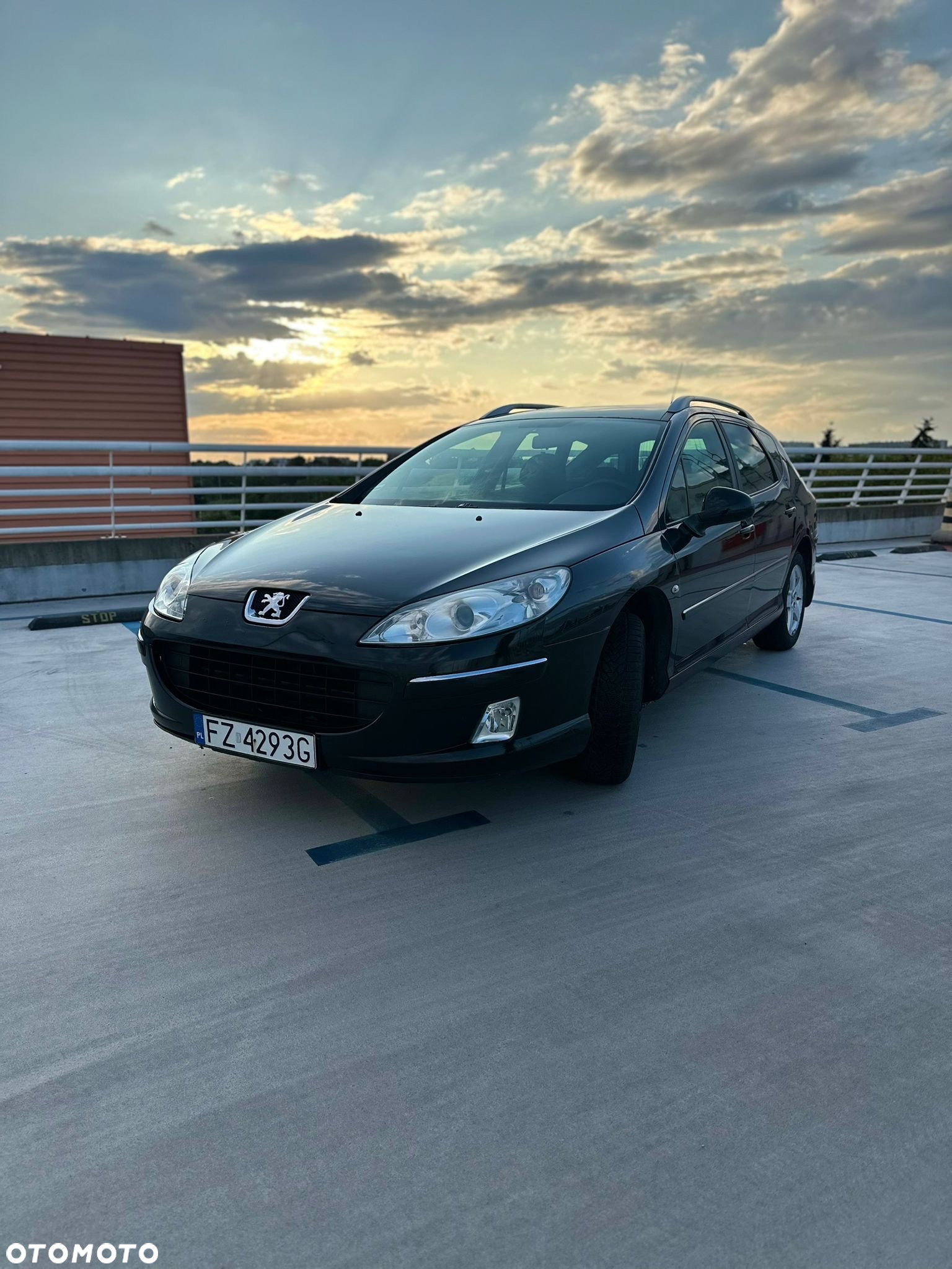 Peugeot 407 - 22