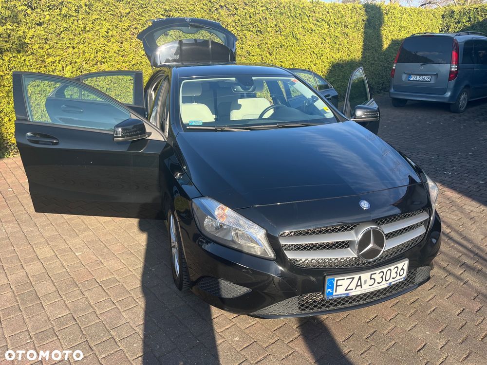 Mercedes-Benz Klasa A 220 4-Matic - 14