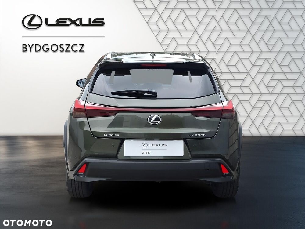 Lexus UX 250h GPF Business 2WD - 5