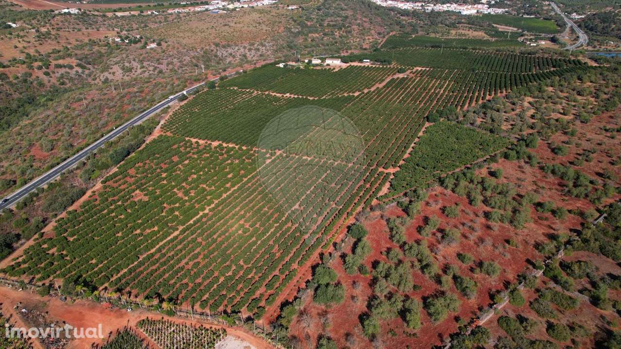 Quinta T3 para venda - Grande imagem: 3/37