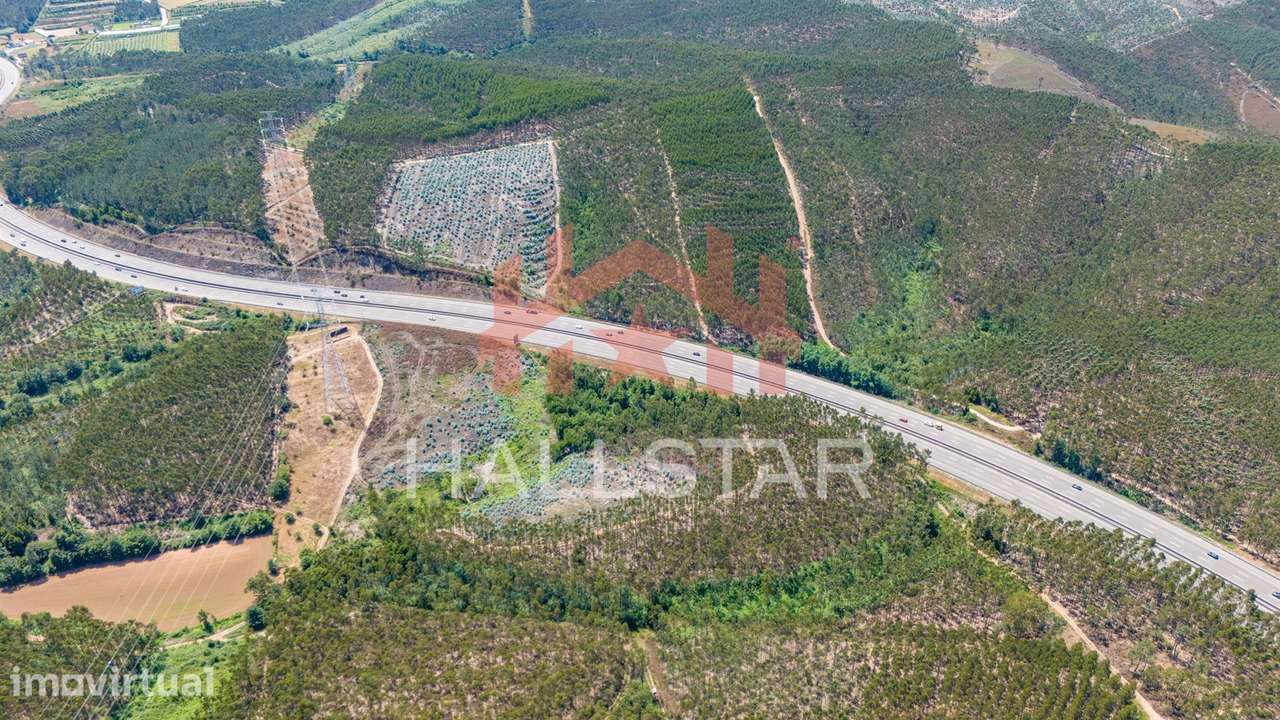Terreno Florestal / Eucaliptal / 4 Hectares / Trofa - Grande imagem: 3/22